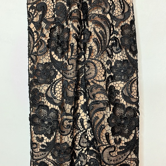 Dress the Population Sophia lace mermaid gown - Picture 11 of 15